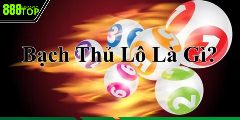 Bạch thủ lô có nhiều yếu tố cuốn hút