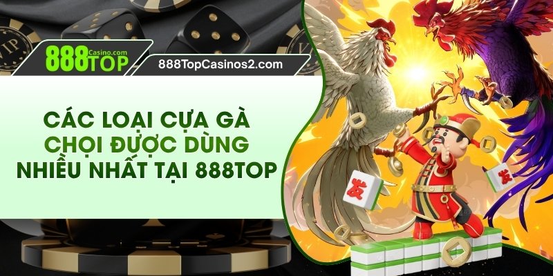 Các Loại Cựa Gà Chọi Được Dùng Nhiều Nhất Tại 888Top